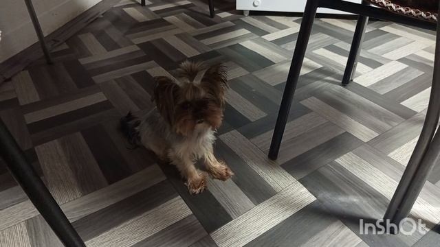 20-01-2026. Жизнь в деревне.Приготовила обед .На улице морозит. смотреть онлайн