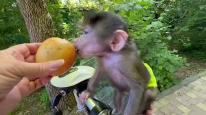 Ангелина и Люся помогают искать ПОТЕРЯВШИХСЯ КОСУЛЯТ! АнгеЛюсики в Тайгане!