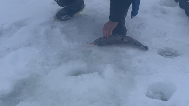 copy_B60E3112-B995-4BEF-AEB4-4AA511A4B648 смотреть онлайн