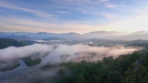 🎵 ЛЕТЯТ ГОДА - ИХ НЕ ОСТАНОВИТЬ 🎵