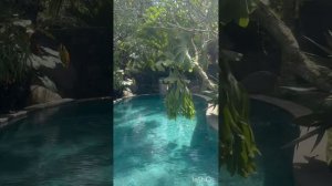 Убуд. День по прилету. Отель с рисовыми полями.