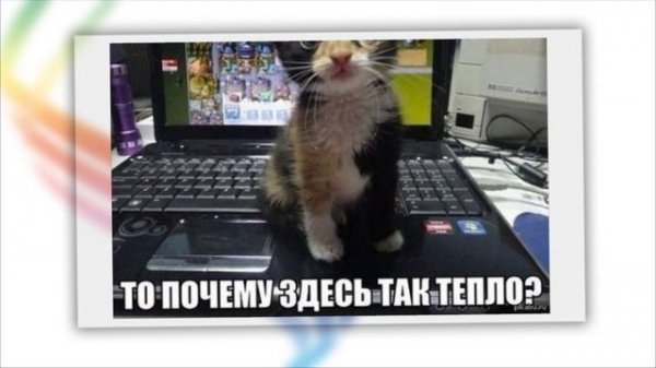 Весёлые картинки ! (2)