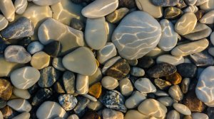 💧🐦 Умиротворяющая атмосфера с пением птиц и звуками текущей воды