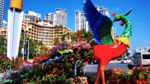 Китай . Санья. Отдых зимой