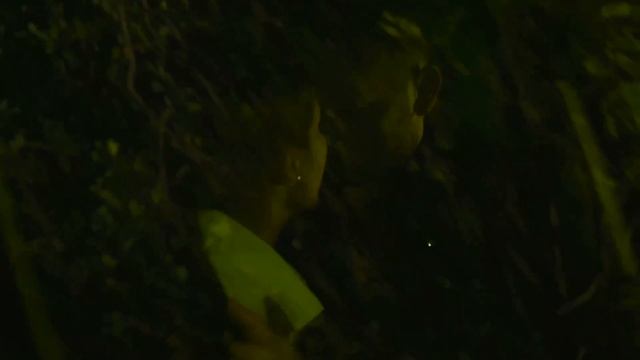 NЮ - Не получается смотреть онлайн