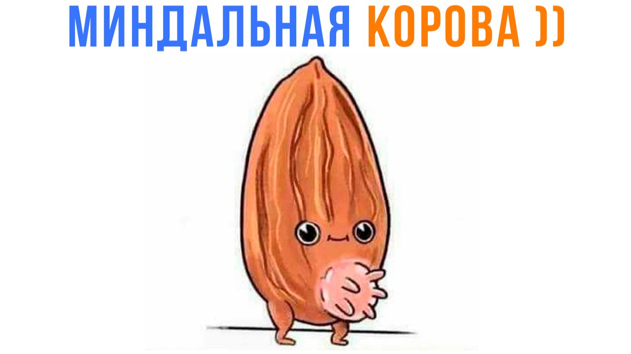 ОТКУДА МИНДАЛЬНОЕ МОЛОКО? ))) Комиксы | Мемозг 1713 смотреть онлайн