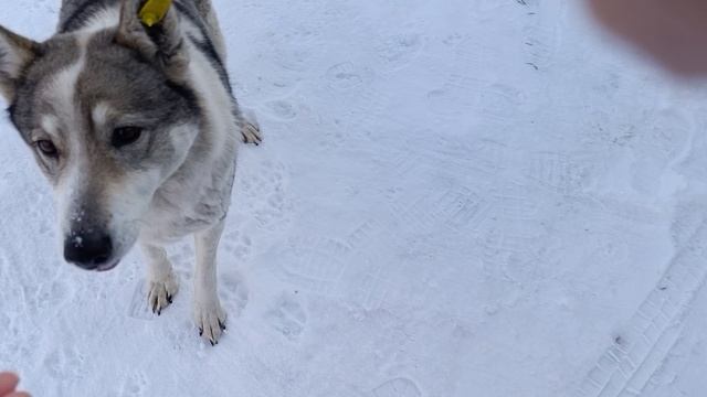 Герда бежит ко мне смотреть онлайн