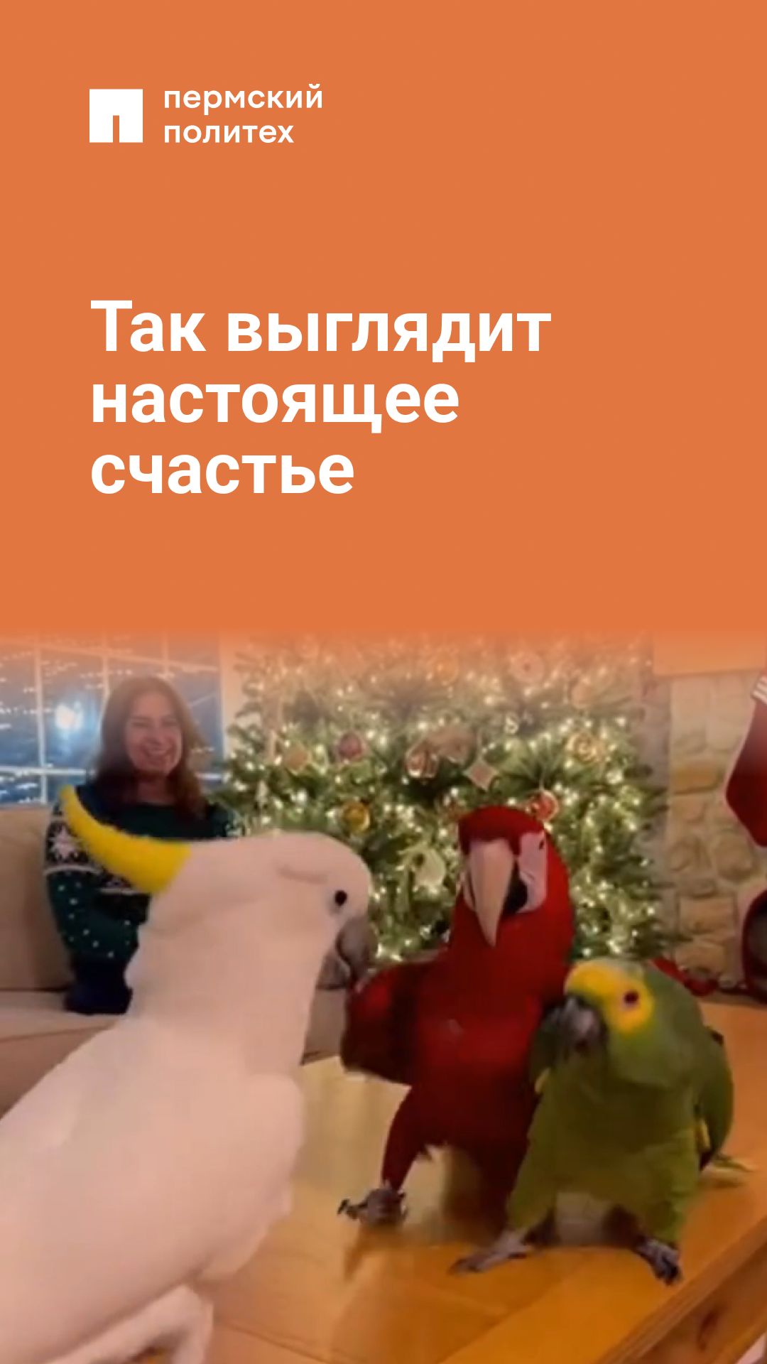 Можно петь, танцевать, а главное — отдыхать! смотреть онлайн