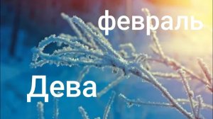 Таро расклад для Дев на февраль 2026 года