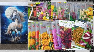 Картина, готова. Обзор семян.