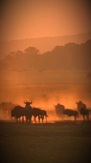 Никто не является твоим другом смотреть онлайн