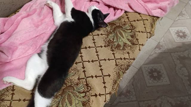 А мы засони смотреть онлайн