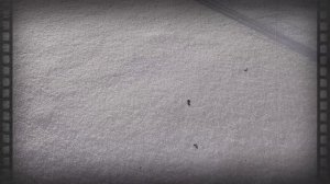 Этот январь