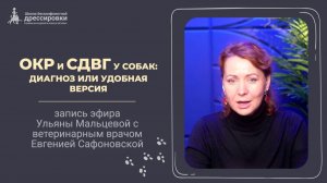 ОКР и СДВГ у собак: диагноз или удобная версия?