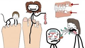 "Человеческие органы и части тела, которые скоро исчезнут" - Академия Сэма О'Неллы и Брокколи