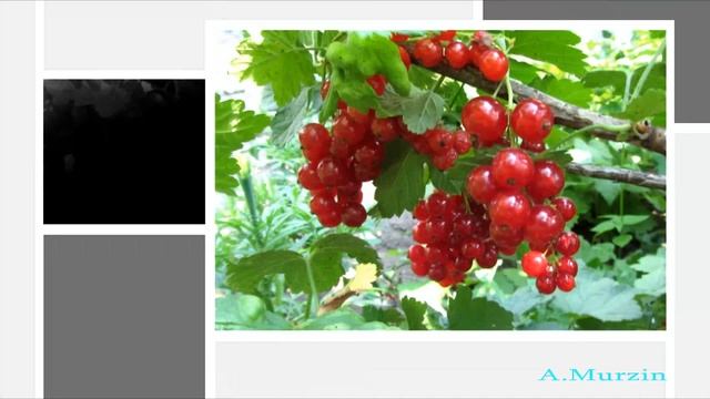 Cities In The Clouds 44 смотреть онлайн