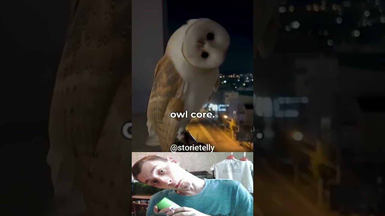 Cute Owl - nya :з - Part 5 смотреть онлайн