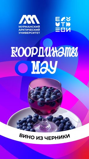 Студент МАУ превращает мурманскую чернику в авторский винный напиток