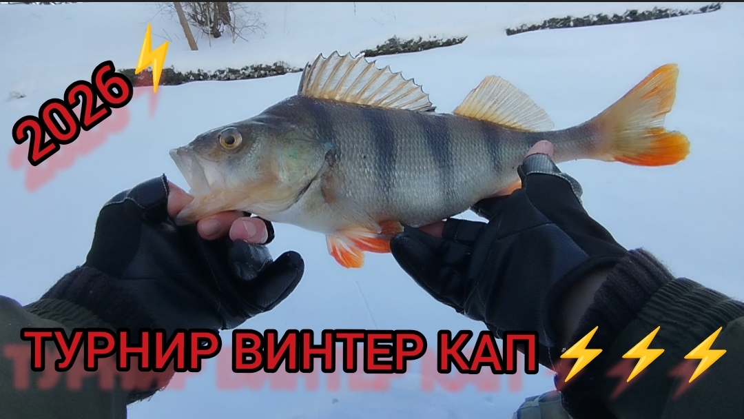 -20 РЫБАЛКА,ТУРНИР ВИНТЕР КАП,ЛОВЛЯ ТРОФЕЙНЫХ ОКУНЕЙ СУДАКА БЕРША НА ДЖИГ-РИГ⚡🎣 смотреть онлайн