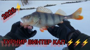 -20 РЫБАЛКА,ТУРНИР ВИНТЕР КАП,ЛОВЛЯ ТРОФЕЙНЫХ ОКУНЕЙ СУДАКА БЕРША НА ДЖИГ-РИГ⚡🎣