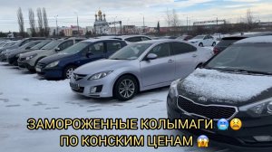 🥶ЗАМОРОЖЕННЫЕ КОЛЫМАГИ ПО КОНСКИМ ЦЕНАМ 😫❗️❗️❗️