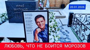 Морозные узоры на могиле Юрия Шатунова в Крещенские дни | Троекуровское кладбище