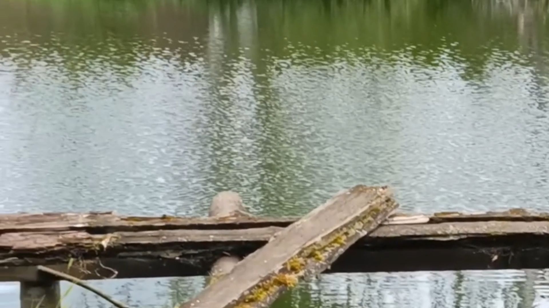 ДЕРЕВЕНСКОЕ