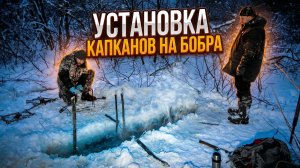 ОХОТА на БОБРА Зимой #50.1 \ Установка капканов под лёд