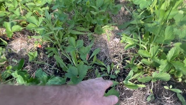 На даче хорошо