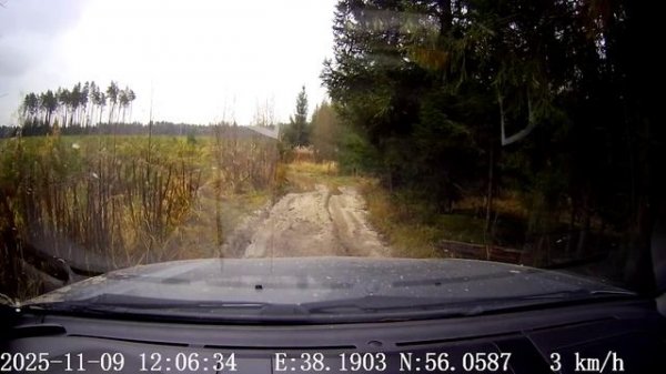 Софрино ноябрь 2025 22