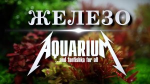 Железо в аквариуме