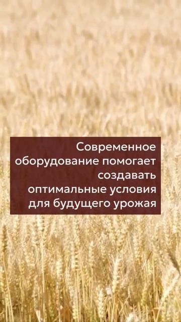 Актуальные новости Rossetto