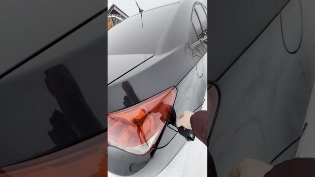 IMG_3503 смотреть онлайн