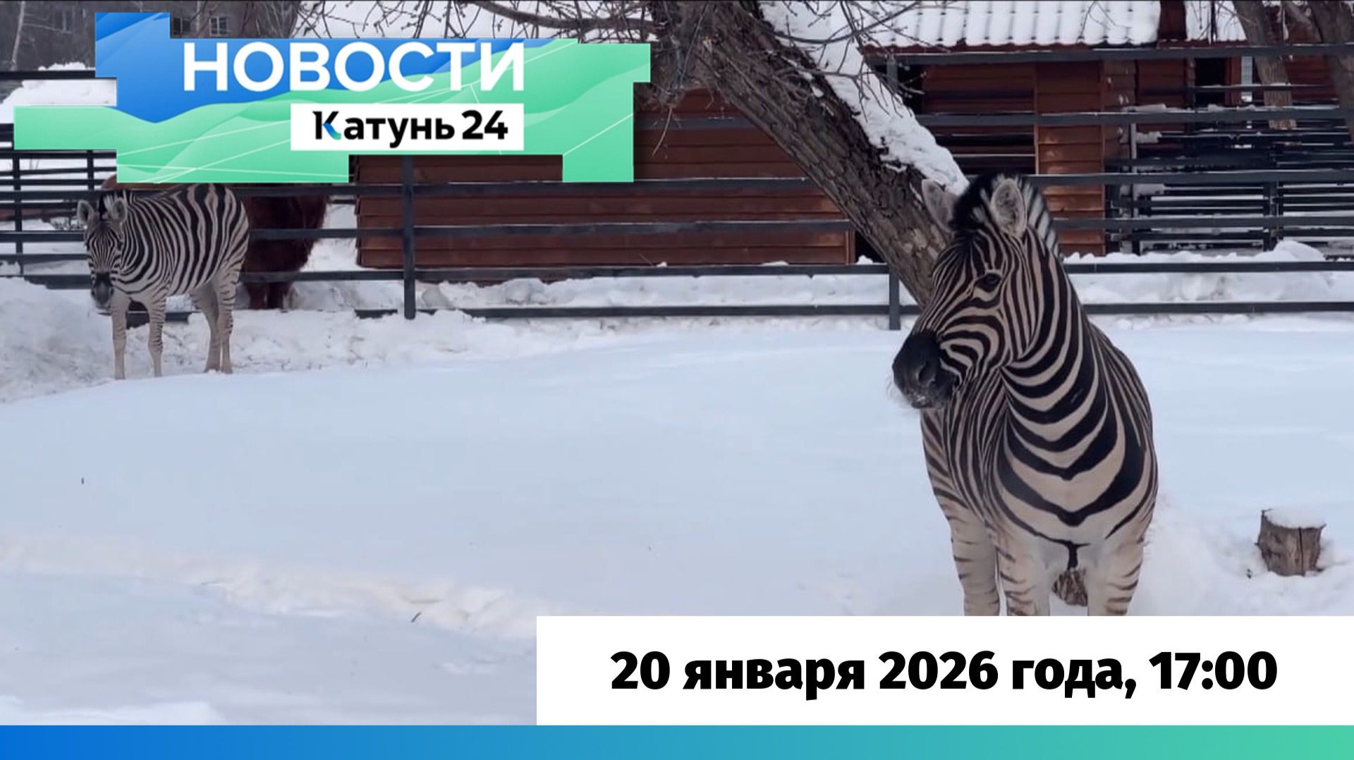 Новости Алтайского края 20 января 2026 года, выпуск в 17:00 смотреть онлайн