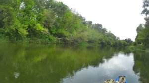 ЛЕШИЙ НА РЕКЕ ВОРОНА