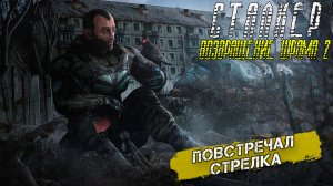 ПОВСТРЕЧАЛ СТРЕЛКА ➤ Сталкер Возвращение Шрама 2 #34