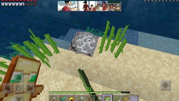 SVID_20260120_140557_1.mp4