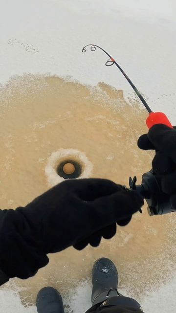 Щука зимой на виб BAT Shiriten Baton