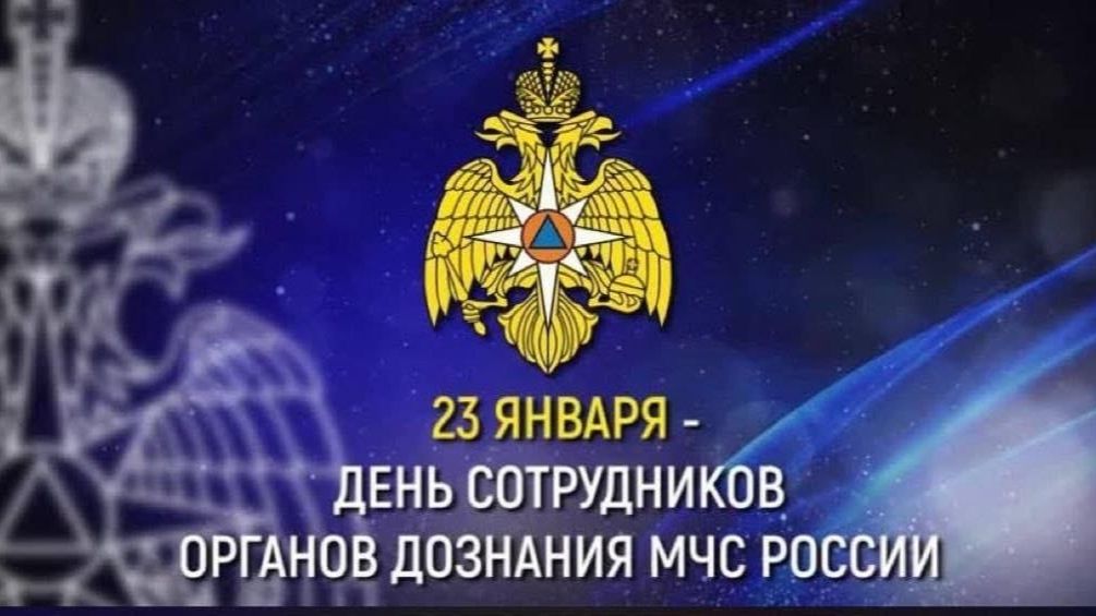 День сотрудников органов дознания МЧС Российской Федерации смотреть онлайн
