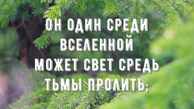 Что за Друга мы имеем - минус мой 1 смотреть онлайн