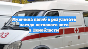 Мужчина погиб в результате наезда легкового авто в Ленобласти