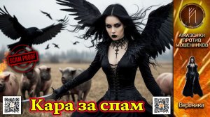 ВЕРОНИКА. Гнев по беспроводной сети