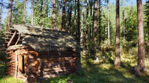 Классная история из жизни сестер в тайге