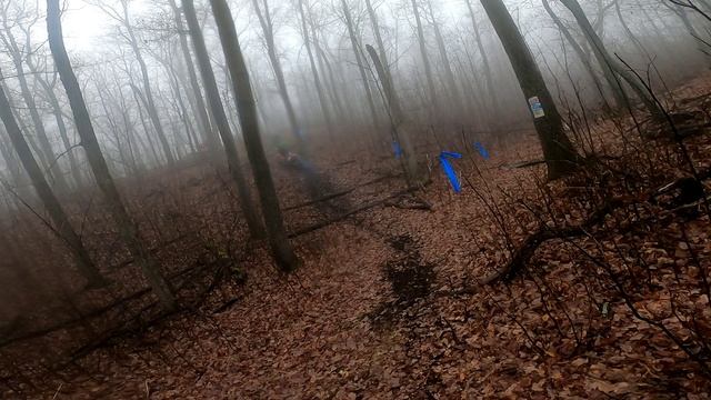 прохват по лесу с Оренбургом ноябрь 25