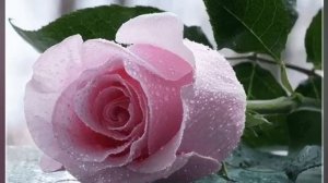 "Мы часто в жизни сожалеем"