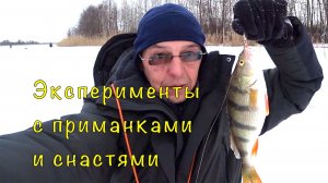 Где ДАЧА там и РЫБА. Главное подобрать ключик.