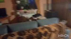 ОТ МЕНЯ СБЕЖАЛ МУЖ.В СПАЛЬНЕ +12 ПОДАРКИ НА ДЕНЬ РОЖДЕНИЕ.