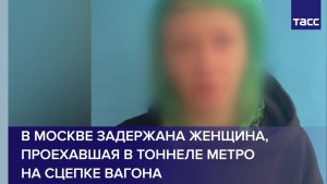 В Москве задержана женщина, проехавшая в тоннеле метро на сцепке вагона