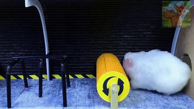 Маленький хомячок отказывается признавать приговор и убегает из суда!Познакомьтесь со злобным крокод смотреть онлайн