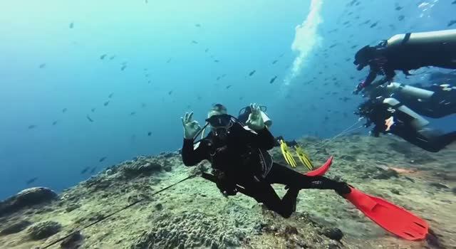 ОНИ СДЕЛАЛИ ЭТО!!! Покоряем Палау и творим чудеса 💫🐊